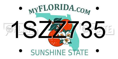 1SZZ735 Florida License Plate