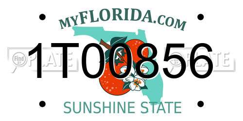 1T00856 Florida License Plate