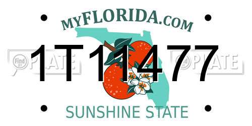 1T11477 Florida License Plate