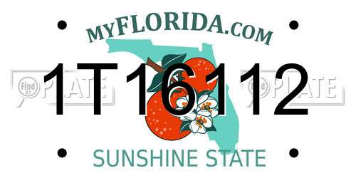 1T16112 Florida License Plate