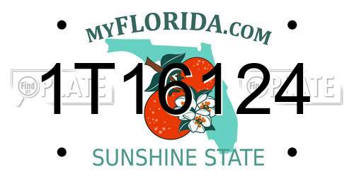 1T16124 Florida License Plate