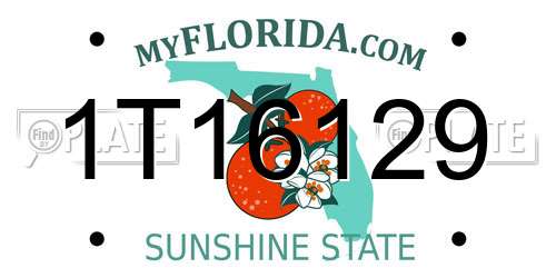 1T16129 Florida License Plate