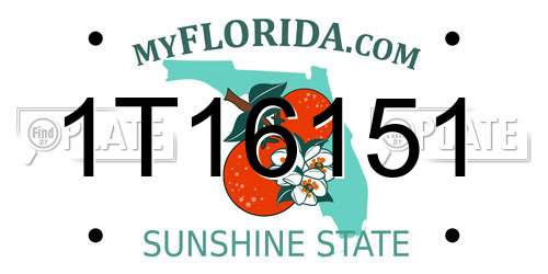 1T16151 Florida License Plate