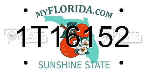 1T16152 Florida License Plate