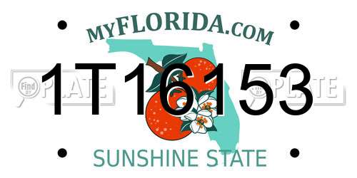 1T16153 Florida License Plate