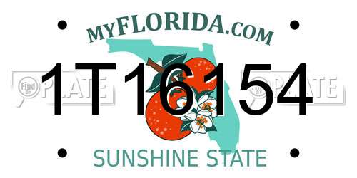 1T16154 Florida License Plate