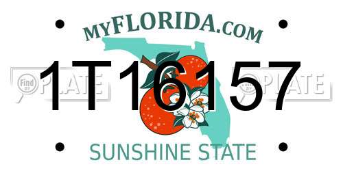 1T16157 Florida License Plate
