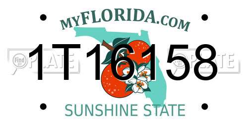 1T16158 Florida License Plate
