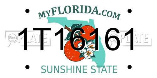 1T16161 Florida License Plate