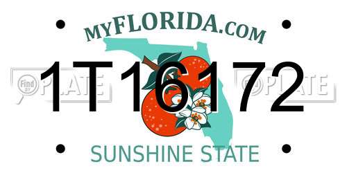 1T16172 Florida License Plate