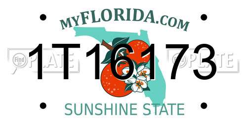 1T16173 Florida License Plate