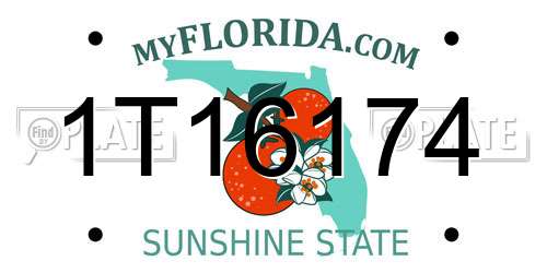 1T16174 Florida License Plate