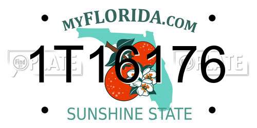 1T16176 Florida License Plate