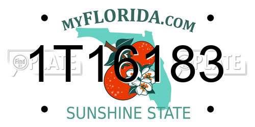 1T16183 Florida License Plate
