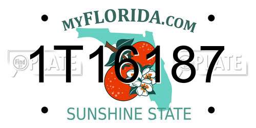 1T16187 Florida License Plate