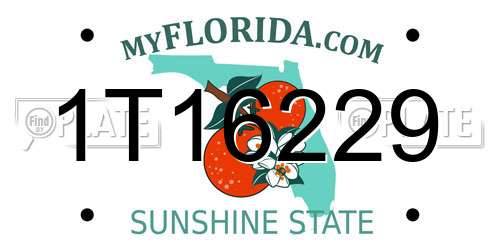 1T16229 Florida License Plate