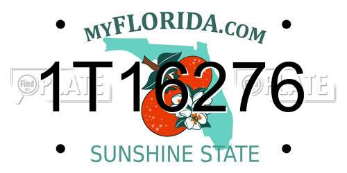 1T16276 Florida License Plate
