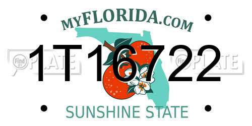 1T16722 Florida License Plate