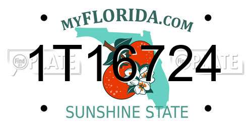 1T16724 Florida License Plate