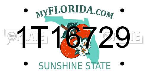 1T16729 Florida License Plate