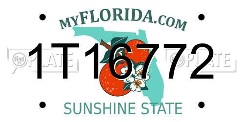 1T16772 Florida License Plate