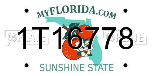 1T16778 Florida License Plate