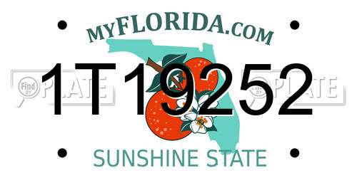 1T19252 Florida License Plate