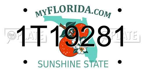 1T19281 Florida License Plate