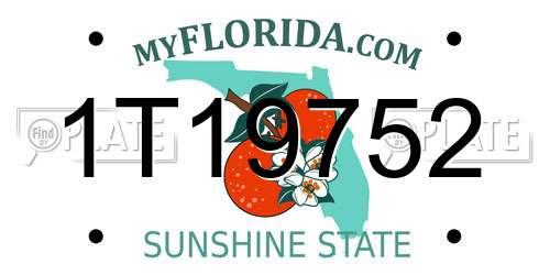 1T19752 Florida License Plate