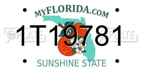 1T19781 Florida License Plate