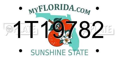 1T19782 Florida License Plate