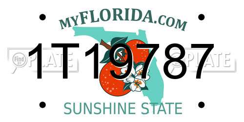 1T19787 Florida License Plate