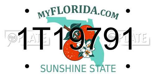 1T19791 Florida License Plate