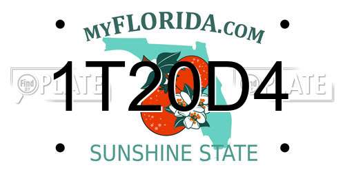 1T20D4 Florida License Plate