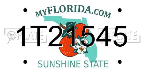 1T21545 Florida License Plate