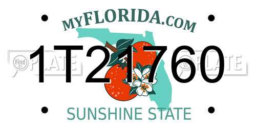 1T21760 Florida License Plate