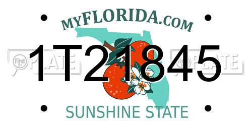 1T21845 Florida License Plate