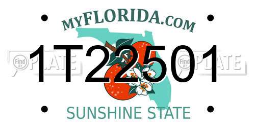 1T22501 Florida License Plate