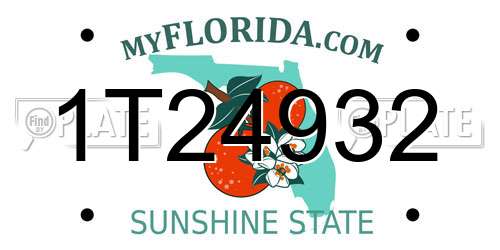 1T24932 Florida License Plate