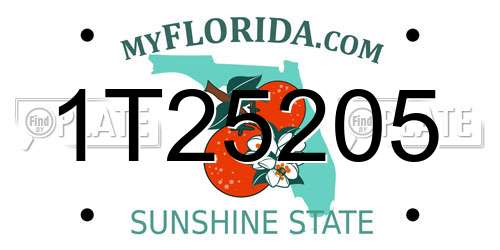 1T25205 Florida License Plate