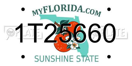 1T25660 Florida License Plate