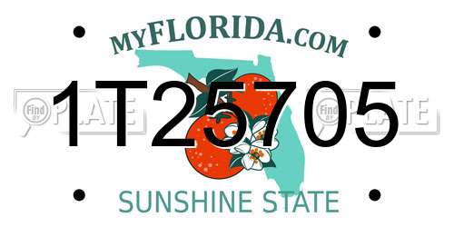 1T25705 Florida License Plate