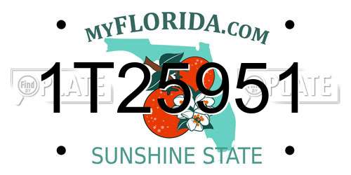 1T25951 Florida License Plate