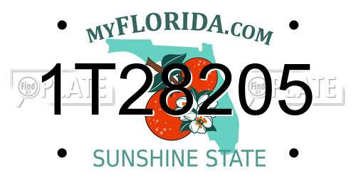 1T28205 Florida License Plate
