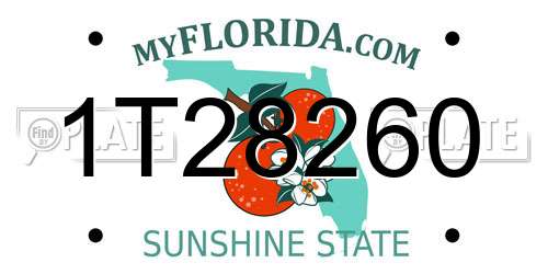 1T28260 Florida License Plate