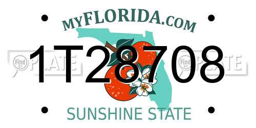 1T28708 Florida License Plate