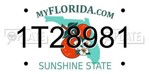 1T28981 Florida License Plate
