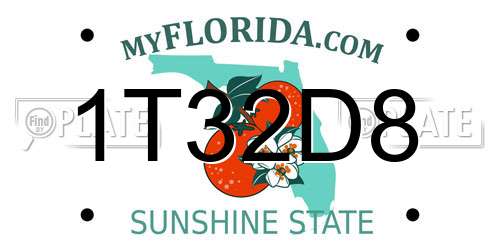 1T32D8 Florida License Plate