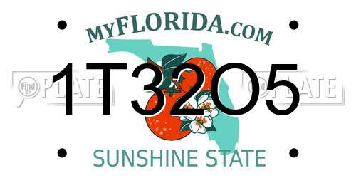 1T32O5 Florida License Plate