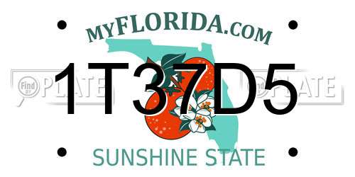 1T37D5 Florida License Plate